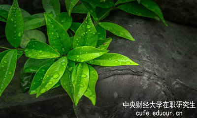 中央財(cái)經(jīng)大學(xué)同等學(xué)力申碩達(dá)到多少分才算通過考試？